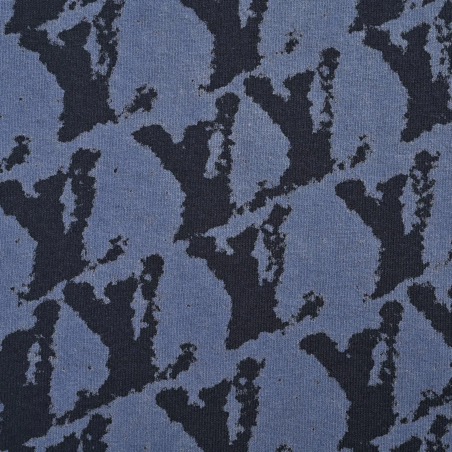 Louis Vuitton/ Blue